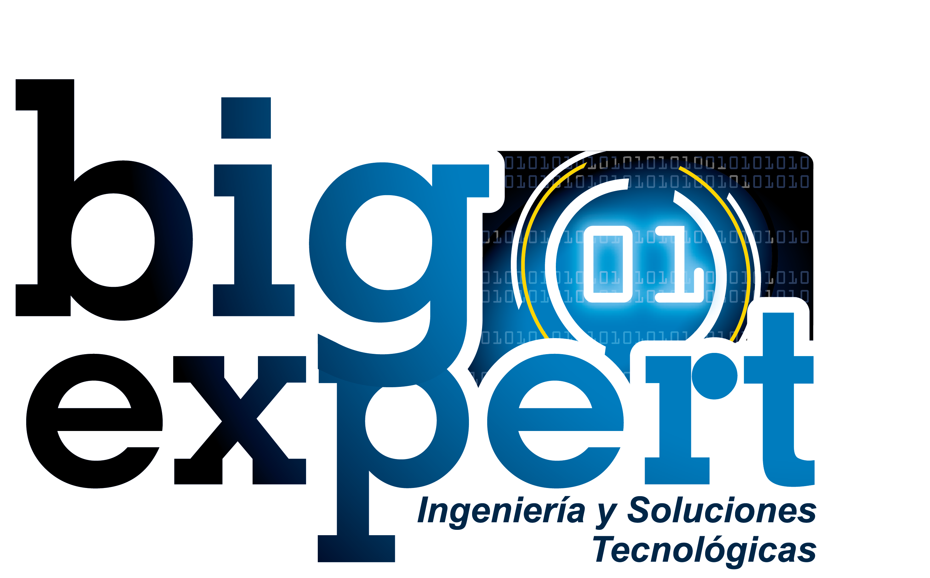 BIGEXPERT